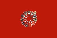 石河子市阿拉尔市回收红酒